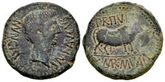 Celtiberian Coins Calagurris. Augustus period. Unit. 27 BC - 14 AD. Calahorra (La Rioja). (Abh-415). (Acip-3121). Anv.: MVN. CALAG. IMP. AVGVSTVS. Bare head of Augustus right. Rev.: Bull right, PR. II