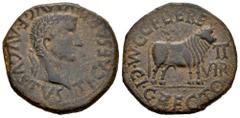Celtiberian Coins Calagurris. Time of Tiberius. Unit. 14 - 36 BC. Calahorra (La Rioja). (Abh-430). Anv.: TI. CAESAR. DIVI. AVG. F.AVGVSTVS. Laureate head of Tiberius right. Rev.: Bull right, G. CELERE