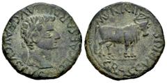 Celtiberian Coins Graccurris. Time of Tiberius. Unit. 14-36 AD. Alfaro (La Rioja). (Abh-1391). (Acip-3196). Anv.: TI. CAESAR. DIVI. AVG. F. AVGVSTVS. Laureate head of Tiberius right. Rev.: Mitred bull