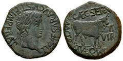 Celtiberian Coins Turiaso. Augustus period. Unit. 27 BC - 14 AD. Tarazona (Zaragoza). (Abh-2452). (Acip-3290). Anv.: TI. CAESAR. AVGVST. F. IMPERAT. around laureate head of Tiberius right. Rev.: Bull 