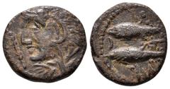 Hispania Antigua / Ancient Hispania Gades. Semis. 100-20 a.C. Cádiz. (Abh-1347). Ae. 5,38 g. MBC+. Est...50,00. / Gades. Semis. 100-20 a.C. Cádiz. (Abh-1347). Ae. 5,38 g. Choice VF. Est...50,00.
