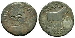 Ancient Hispania / Hispania Antigua Kelse. Unit. 27 a.C.-14 d.C. Velilla del Ebro (Zaragoza). Época de Augusto. (Abh-809). (Acip-3164). Anv.: Augustus' laureate head right, around AVGVSTVS DIVI F. Rev