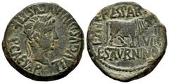 Ancient Hispania Calagurris. Unit. 14-36 BC. Calahorra (La Rioja). Time of Tiberius. (Abh-429). (Acip-3128b). Anv.: Laureate head of Tiberius, around TI AVGVS DIVI AVGVSTI F IMP CAESAR. Rev.: Right bu