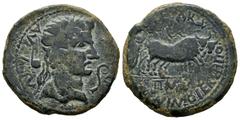 Celtiberian Coins Caesaraugusta. Augustus period. Unit. 27 BC - 14 AD. Zaragoza. (Abh-322). Anv.: AVGVSTVS. DIVI. F. Laureate head of Augustus right, lituus and simpulum. Rev.: Pair of oxen right, II.