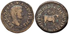 Celtiberian Coins Caesar Augusta. Unit. 14-36 d.C. Zaragoza. (Abh-363). Anv.: Laureate head of Tiberius on the right. TI CAESAR DIVI AVG F AVGVTVS. Rev.: Bull to the right above CCA, around T CAECILIO
