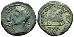 Celtiberian Coins Caesaraugusta. Augustus period. Unit. 27 BC - 14 AD. Zaragoza. (Abh-324). Anv.: IMP. AVGVSTVS. XIV. Laureate head of Augustus left, lituus and simpulum before. Rev.: Pair of oxen rig