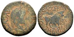 Celtiberian Coins Kelse-Celsa. Time of Tiberius. Unit. 14-36 AD. Velilla de Ebro (Zaragoza). (Abh-819). Anv.: TI. CAESAR. AVGVSTVS. Laureate head of Tiberius right. Rev.: Bull right, BACC. FRONT (N an