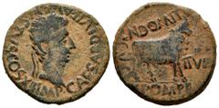 Celtiberian Coins Kelse-Celsa. Augustus period. Unit. 27 BC - 14 AD. Velilla de Ebro (Zaragoza). (Abh-811). Anv.: IMP. CAESAR. DIVI. F. AVGVSTVS. COS. XII. Laureate head of Augustus right. Rev.: Bull 