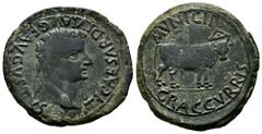 Celtiberian Coins Graccurris. Time of Tiberius. Unit. 14-36 AD. Alfaro (La Rioja). (Abh-1391). Anv.: TI. CAESAR. DIVI. AVG. F. AVGVSTVS. Laureate head of Tiberius right. Rev.: Mitred bull standing rig