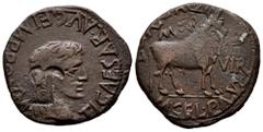 Celtiberian Coins Turiaso. Augustus period. Unit. 27 BC - 14 AD. Tarazona (Zaragoza). (Abh-2454). Anv.: TI. CAESAR. AVGVST. F. IMPER. around laureate head of Tiberius right. Rev.: Bull right, L. CAEC.