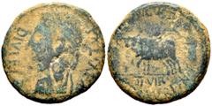 Celtiberian Coins Caesaraugusta. Augustus period. Unit. 27 BC - 14 AD. Zaragoza. (Abh-318). (Acip-tipo 3033). Anv.: AVGVSTVS. DIVI. F. Laureate head of Augustus left. Rev.: Pair of oxen left, II. VIR.