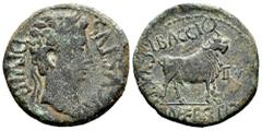 Celtiberian Coins Kelse-Celsa. Augustus period. Unit. 27 BC - 14 AD. Velilla de Ebro (Zaragoza). (Abh-809). (Acip-3164). Anv.: AVGVSTVS. DIVI. F. Laureate head of Augustus right. Rev.: Bull standing r