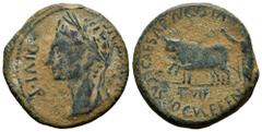 Celtiberian Coins Caesaraugusta. Augustus period. Unit. 27 BC - 14 AD. Zaragoza. (Abh-318). Anv.: AVGVSTVS. DIVI. F. Laureate head of Augustus left. Rev.: Pair of oxen left, II. VIR. below, CAESAR. AV