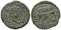 Celtiberian Coins Calagurris. Time of Tiberius. Unit. 14 - 36 BC. Calahorra (La Rioja). (Abh-429). Anv.: TI. AVGVS. DIVI. AVGVSTLF. IMP. CAESAR. Laureate head of Tiberius right. Rev.: Bull right, L. F