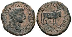 Celtiberian Coins Graccurris. Time of Tiberius. Unit. 14-36 AD. Alfaro (La Rioja). (Abh-1391). Anv.: TI. CAESAR. DIVI. AVG. F. AVGVSTVS. Laureate head of Tiberius right. Rev.: Mitred bull standing rig