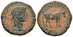 Celtiberian Coins Graccurris. Time of Tiberius. Unit. 14-36 AD. Alfaro (La Rioja). (Abh-1391). (Acip-3196). Anv.: TI. CAESAR. DIVI. AVG. F. AVGVSTVS. Laureate head of Tiberius right. Rev.: Mitred bull