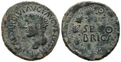 Celtiberian Coins Segobriga. Time of Tiberius. Unit. 14-36 AD. Saelices (Cuenca). (Abh-2188). (Acip-3243). Anv.: TI. CAESAR. DIVI. AVG. F. AVGVS. F. IMP. VIII. around bare head of Tiberius left. Rev.: