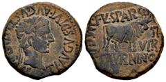 Celtiberian Coins Calagurris. Time of Tiberius. Unit. 14 - 36 BC. Calahorra (La Rioja). (Abh-429). Anv.: TI. AVGVS. DIVI. AVGVSTLF. IMP. CAESAR. Laureate head of Tiberius right. Rev.: Bull right, L. F