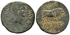 Celtiberian Coins Calagurris. Augustus period. Unit. 27 BC - 14 AD. Calahorra (La Rioja). (Abh-415). (Acip-3121). Anv.: MVN. CALAG. IMP. AVGVSTVS. Bare head of Augustus right. Rev.: Bull right, PR. II