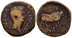 Celtiberian Coins Calagurris. Augustus period. Unit. 27 BC - 14 AD. Calahorra (La Rioja). (Abh-415). (Pueyo-108d/109b). Anv.: MVN. CALAG. IMP. AVGVSTVS. Bare head of Augustus right. Rev.: Bull right, 