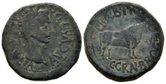 Celtiberian Coins Calagurris. Augustus period. Unit. 27 BC - 14 AD. Calahorra (La Rioja). (Abh-416). Anv.: MVN. CL. IVLIA. AVGVSTVS. Laureate head of Augustus right. Rev.: Bull right, II. VIR. L. BAEB