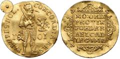 NETHERLAND'S GOLD | THE GRAIN COLLECTION Netherlands, Ducat 1801 - Holland, Enkhuizen - RARE mintIn 1796, the provincial government of the Netherlands took control of the West Friesland mint and struc