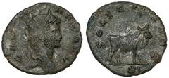 Ancient Coins Gallienus (258-268 AD) Antoninian, Rome - bullObverse: GALLIENVS AVGRadiate bust right. Reverse: SOLI CONS AVG / XIBull left.bilon, diameter 18,4 x 20,3 mm, weight 2,41 g. Awers: Popiers