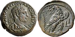 Roman Provincial EGYPT. Alexandria. Severus Alexander, 222-235. Drachm (Bronze, 33 mm, 27.63 g, 12 h), RY 10 = 230/1. Α ΚΑΙ ΜΑΡ ΑΥΡ CЄΥ ΑΛΕΞΑΝΔΡΟC ЄΥ Laureate, draped and cuirassed bust of Severus Ale