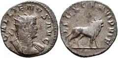 Roman Imperial Gallienus, 253-268. Antoninianus (Billon, 20 mm, 2.94 g, 12 h), Mediolanum, 260-261. GALLIENVS AVG Radiate and cuirassed bust of Gallienus to right. Rev. LEG X GEM VI P VI F Bull walkin