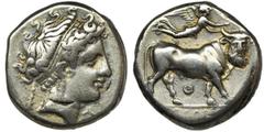 ANCIENT COINS Greece, Campania, Neapolis, Didrachm - RARERare didrachm from Neapolis. The presented specimen comes from the 53 Nomisma Auction in 2015. Greece Campania, Neapolis, Didrachm 325-241 BC O
