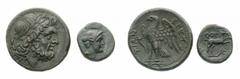 Monete della Magna Grecia - Bruttium - Magna Graecia coins Lega dei Bretti - AE 23 databile al periodo 211-208 a.C. - Diritto: testa laureata di Zeus a destra; sulla sinistra una spiga di grano - Rove