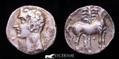 Ancient Hispania Ancient Hispania - Cartaghinians. Cartagonova mint (Cartagena, Murcia). Silver Shekel. (6.64 g. 21 mm). 220-205 B.C. Male head to the left. / Horse standing right, behind palm tree. F
