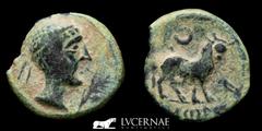 Ancient Hispania Ancient Hispania - Castulo (Linares, Jaén). Bronze semis (3,36 g, 19 mm). Minted in I B.C. Male head diadem to right, in front Palm. Bull to right, in the exergue inscription Iberian 