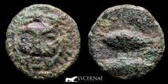 Ancient Hispania Ancient Hispania - Gades (actual Cádiz) Bronze calco (3.12 g. 17 mm.), minted between 200 - 100 B.C. Head of Herakles-Hércules front / Two Tunas fish. Punic letter Alef between. FAB 1