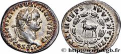 Roman coins DOMITIANUS Type : Denier  Date : 80  Mint name / Town : Rome  Metal : silver  Millesimal fineness : 900  ‰ Diameter : 17  mm Orientation dies : 6  h. Weight : 3,31  g. Rarity : R1  Obverse