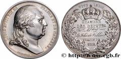 Medals LOUIS XVIII Type : Médaille parlementaire, François-Alexandre-Léonor Le Jolis de Villiers  Date : 1818  Metal : silver  Diameter : 40,5  mm Engraver : ANDRIEU Jean-Bertrand (1761-1822) / DE PUY