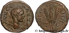 Provincial Coins SEVERUS ALEXANDER Type : Diassaria  Date : an 8  Mint name / Town : Césarée, Cappadoce  Metal : copper  Diameter : 19,5  mm Orientation dies : 12  h. Weight : 5,55  g. Rarity : R2  Ob