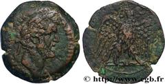 Provincial Coins ANTONINUS PIUS Type : Drachme  Date : an 17  Mint name / Town : Alexandrie, Égypte  Metal : copper  Diameter : 32,5  mm Orientation dies : 12  h. Weight : 19,10  g. Rarity : R2  Obver