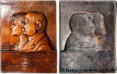 Medals III REPUBLIC Type : Fonte, Docteur Alexandre Preux et Nelly O’Toole  Date : 1927  Metal : bronze  Diameter : 278  mm Engraver : MOUROUX Anie (1887-1978)  Weight : 2050  g. Edge : lisse  Puncheo