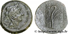 SYRIA - SELEUKID KINGDOM - ALEXANDER II ZEBINA Type : Hemichalque  Date : c. 128-122 AC.  Mint name / Town : Antioche, Syrie  Metal : bronze  Diameter : 16  mm Orientation dies : 12  h. Weight : 3,13 