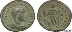 LICINIUS II (1/04/317-09/324) Flavius Valerius Constantinus Licinianus Licinius César (317-324) Follis ou nummus 318 N° brm_113887 Date : 318 Nom de l'atelier : Nicomédie Métal : cuivre Diamètre : 16,