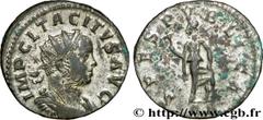TACITE (11-12/275-06/276) Marcus Claudius Tacitus Aurelianus 276 N° brm_172911 Date : 276 Nom de l'atelier : Lyon Métal : billon Diamètre : 21mm Axe des coins : 12h. Poids : 3,55g.   Etat de conservat