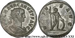CARUS(09/282-07/283)Marcus Aurelius Carus Aurelianus N° v21_3359    Date : 282 Nom de l'atelier : Italie, Ticinum (Pavie) Métal : billon Diamètre : 23mm Axe des coins : 6h. Poids : 4,19g. Degré de rar