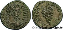 SEPTIMIUS SEVERUS Type : Assarion  Date : c. 193-211  Mint name / Town : Dionysopolis, Mésie Inférieure  Metal : copper  Diameter : 16,5  mm Orientation dies : 12  h. Weight : 2,01  g. Rarity : UNIQUE