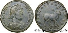 Coinage of the Christian Empire JULIAN II THE PHILOSOPHER Double maiorina, (GB, Æ 1) Augustus 362-363 Constantinople R1 copper (29mm, 9,13g, 12h) Obverse : D N FL CL IVLI-ANVS P F AVG Buste barbu, dia