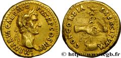 NERVA Type : Aureus  Date : septembre - novembre  Date : 96  Mint name / Town : Rome  Metal : gold  Millesimal fineness : 1000  ‰ Diameter : 19  mm Orientation dies : 6  h. Weight : 7,63  g. Rarity : 