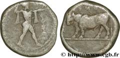 LUCANIE - POSEIDONIA(Ve siècle avant J.-C.) Nomos, statère ou didrachme N° v34_0016    Date : c. 445-420 AC. Nom de l'atelier : Poseidonia Métal : argent Diamètre : 19mm Axe des coins : 11h. Poids : 7