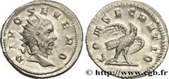 Roman coins DIVI consecration of TRAJANUS DECIUS Type : Antoninien  Date : 250-251  Mint name / Town : Rome  Metal : billon  Millesimal fineness : 400  ‰ Diameter : 22  mm Orientation dies : 6  h. Wei