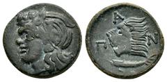 GREEK COINS CIMMERIAN BOSPOROS. Pantikapaion.(Circa 310-303 BC).Ae. Obv : Wreathed head of Pan left. Rev : ΠAN. Lion's head left; sturgeon left. MacDonald 70. Condition : The coin is in good condition