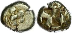 Ancient Coins Mysia Kyzikos, Elektron Stater (15,98g), ca. 550-500 v. Chr. Av: Oberkörper einer geflügelten Frau, links Thunfisch. Rev: Quadratum incusum. SNG France 205, Fritze 75, ss. Aus einer rhei